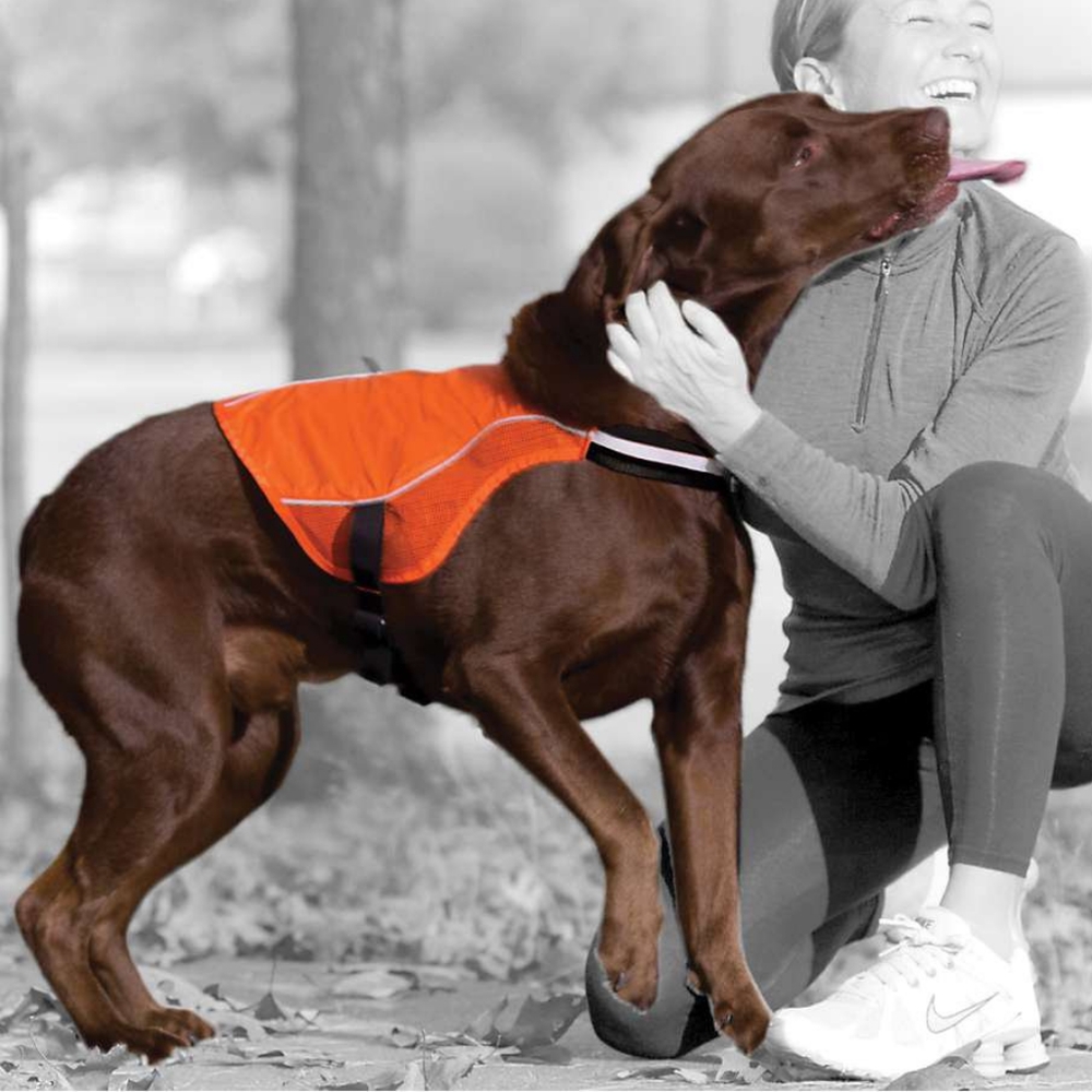 Kurgo Reflect & Protect Active Dog Vests, XS   sport hunt